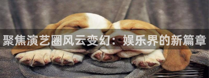 狗子28链接：聚焦演艺圈风云变幻：娱乐界的新篇章