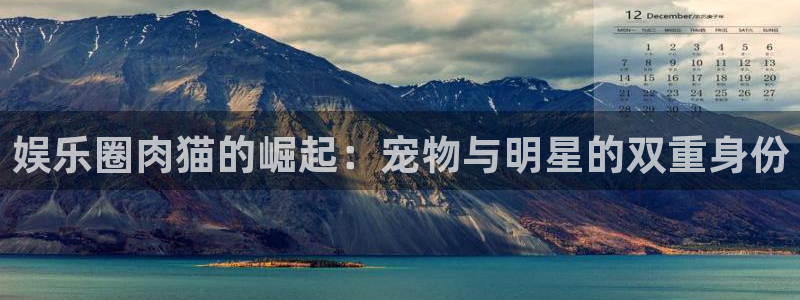 狗子28.ccm官网：娱乐圈肉猫的崛起：宠物与明星的双重身份