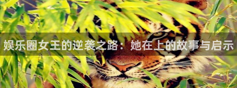狗子28pg下载入口：娱乐圈女王的逆袭之路：她在上的故事与启示