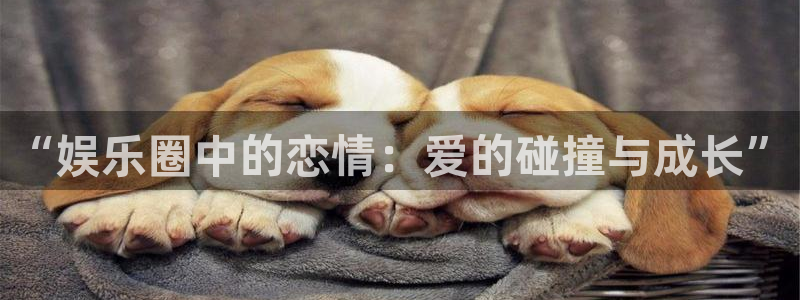 狗子28平台：“娱乐圈中的恋情：爱的碰撞与成长”