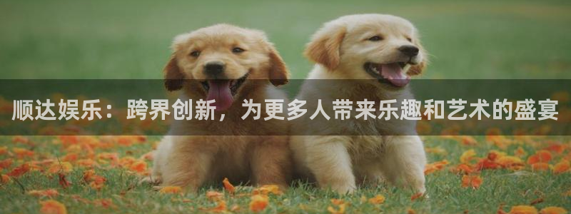 狗子28游戏官网入口注册：顺达娱乐：跨界创新，为更多人带来乐趣和艺术的盛宴