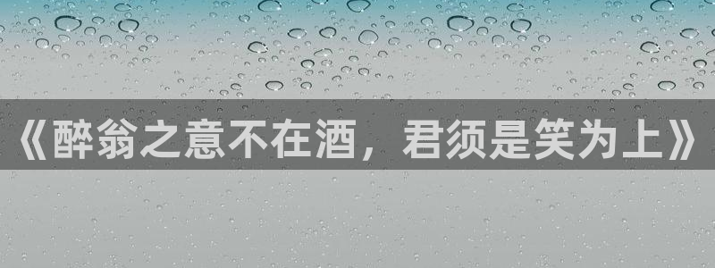 狗子28游戏：《醉翁之意不在酒，君须是笑为上》