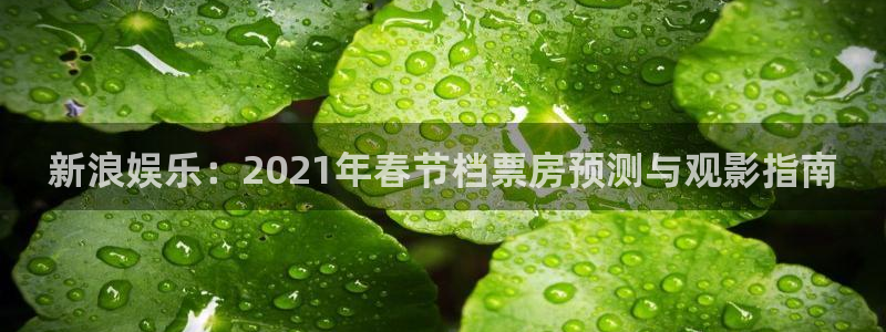 狗子28赏金国际下载：新浪娱乐：2021年春节档票房预测与观影指南