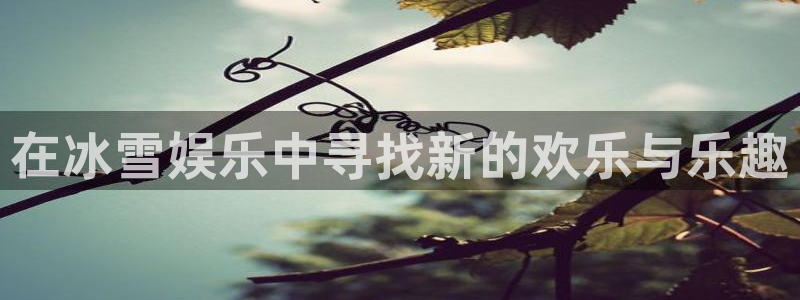 狗子28pg下载入口：在冰雪娱乐中寻找新的欢乐与乐趣