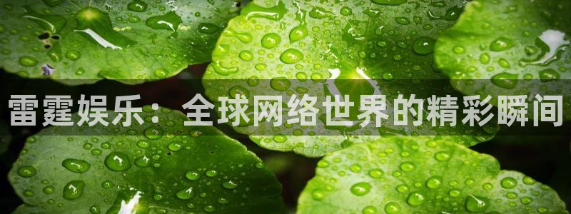 狗子28赏金国际下载：雷霆娱乐：全球网络世界的精彩瞬间