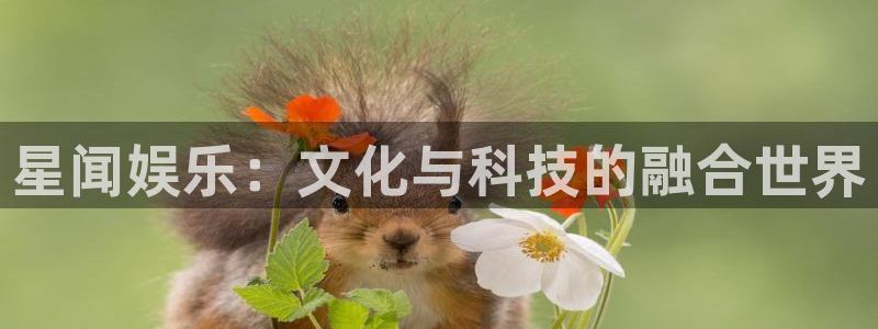 狗子28.ccmpc：星闻娱乐：文化与科技的融合世界