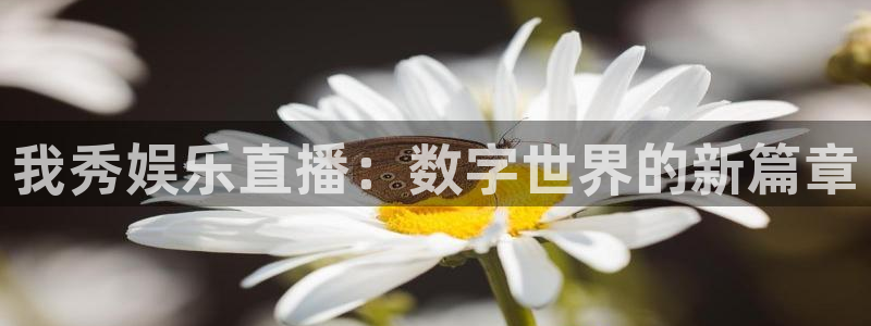 狗子28pg：我秀娱乐直播：数字世界的新篇章